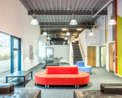 Destiny Student - Shrubhill