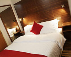 Cocoon @ International Inn