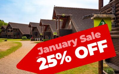 Save up to 25% in the January Sale